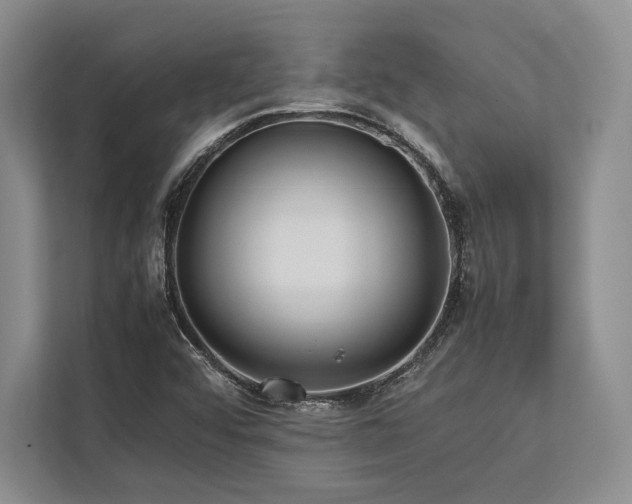 X0000113751456200909231121