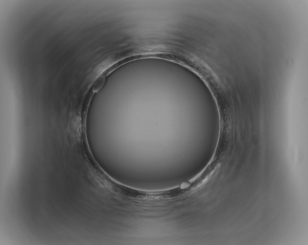 X0000113751457200909231121