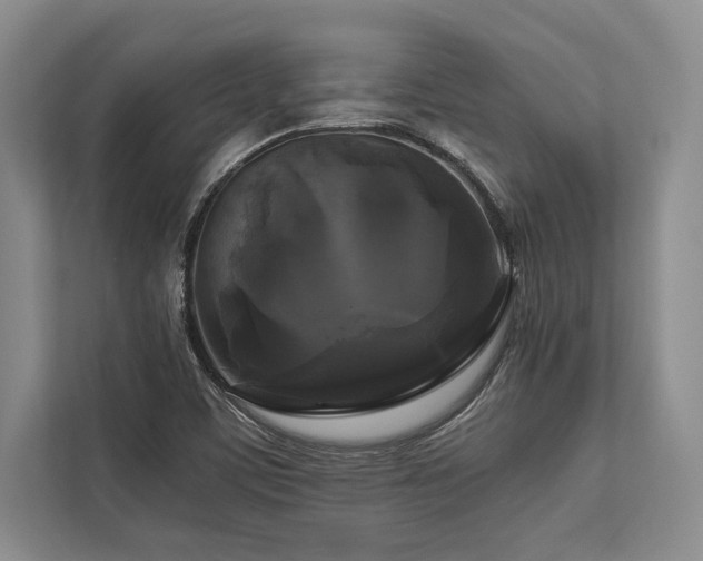 X0000113751459200909231121