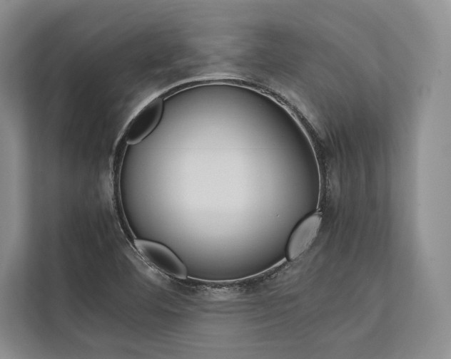 X0000113751460200909231121