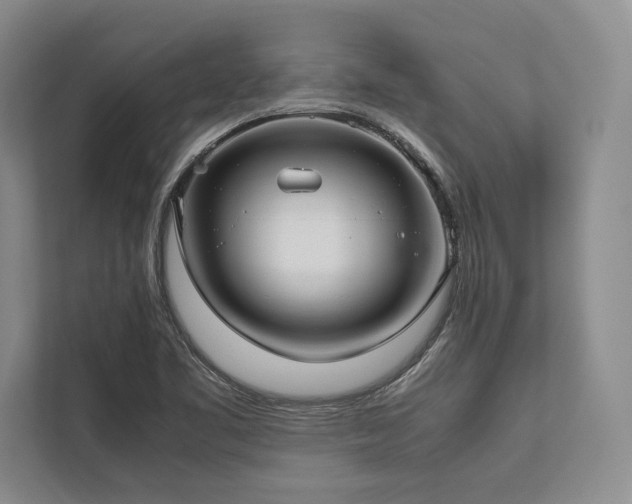 X0000113751461200909231121
