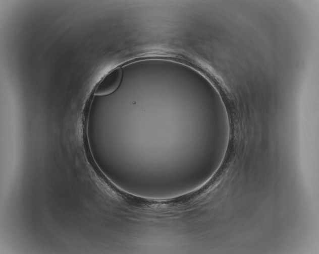 X0000113751463200909231121