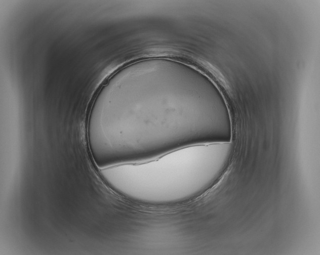 X0000113751465200909231121