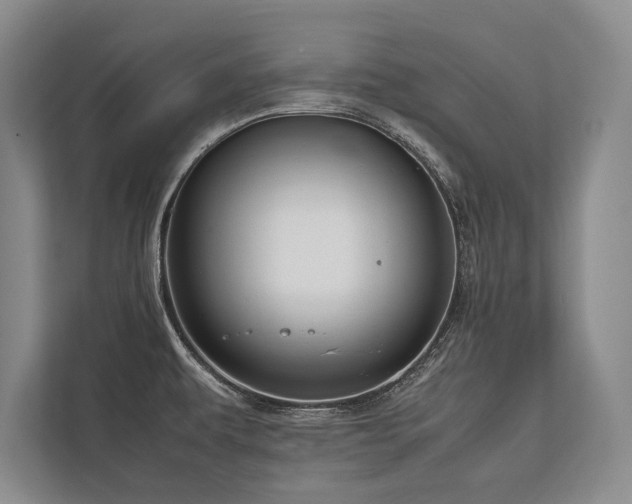 X0000113751479200909231121