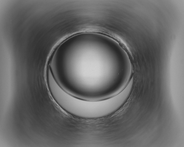 X0000113751480200909231121