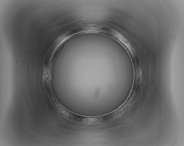 X0000113751481200909231121