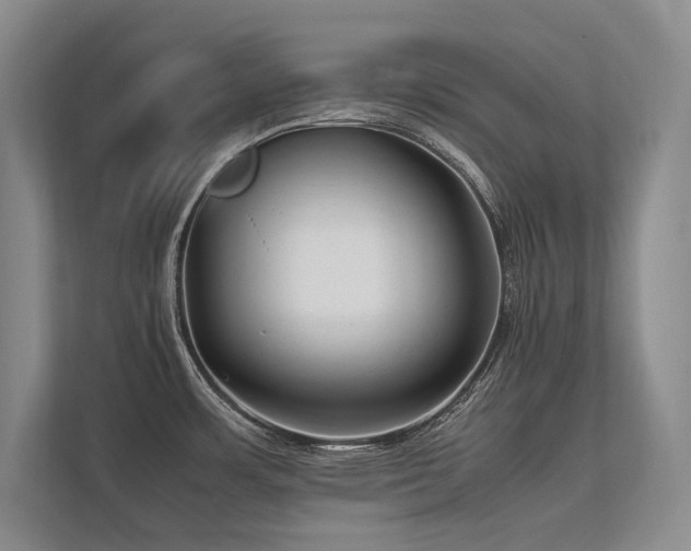 X0000113751483200909231121