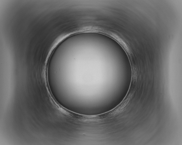 X0000113751486200909231121