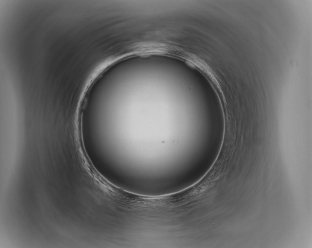 X0000113751488200909231121