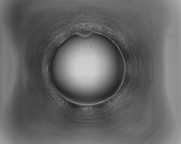 X0000113751489200909231120
