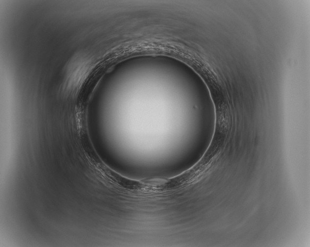 X0000113751490200909231120