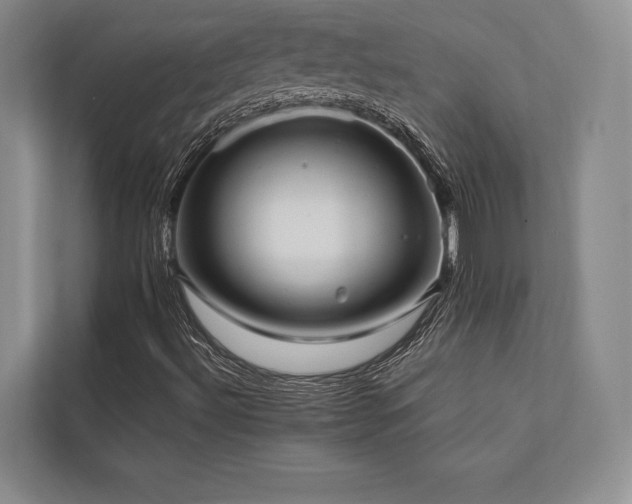 X0000113751492200909231120
