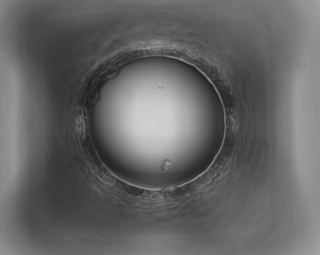 X0000113751493200909231120