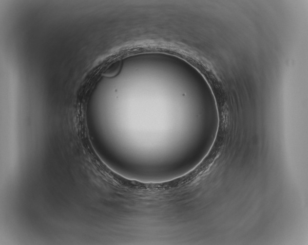 X0000113751494200909231120