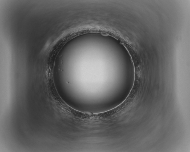 X0000113751495200909231120