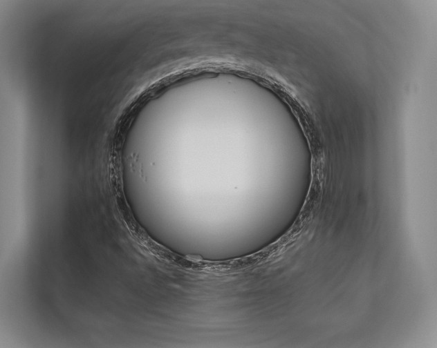 X0000113751496200909231120