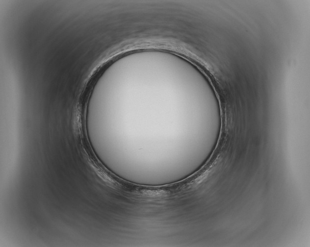 X0000113751498200909231120
