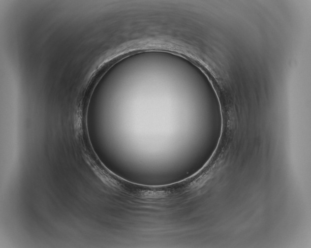 X0000113751499200909231120