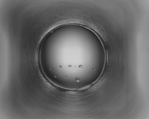 X0000113751500200909231120