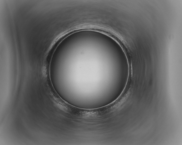 X0000113751501200909231120