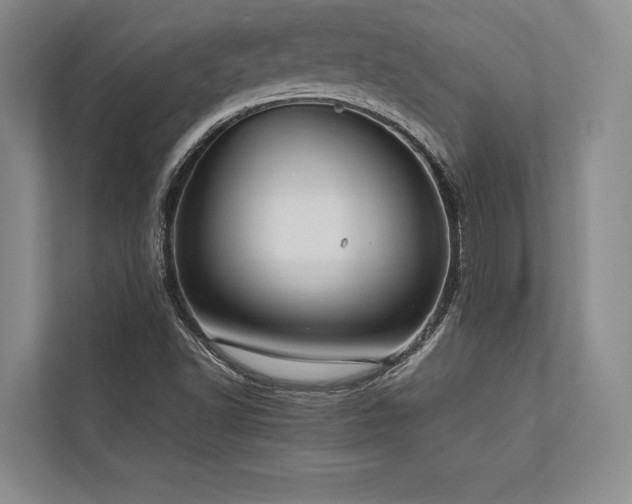 X0000113751502200909231120