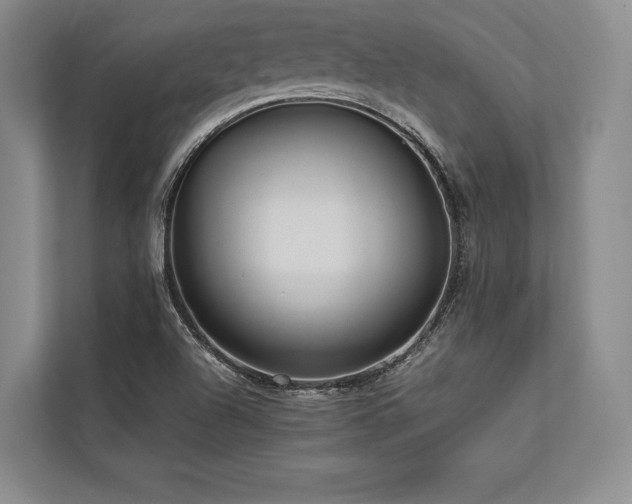 X0000113751504200909231120