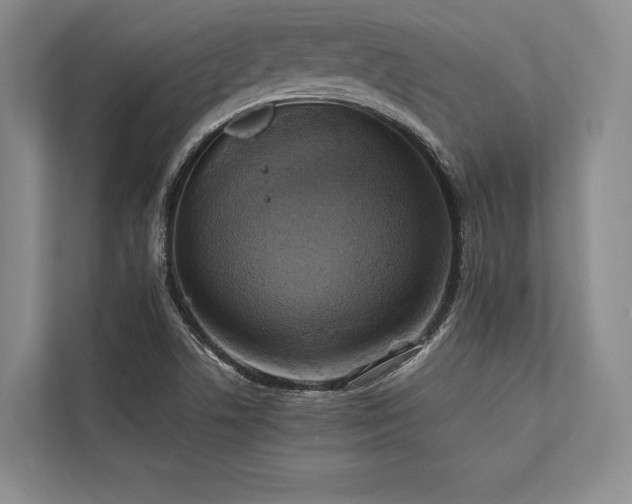 X0000113751506200909231120