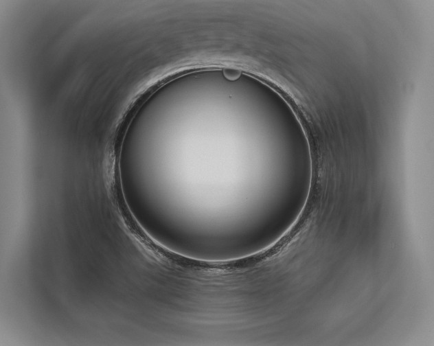 X0000113751507200909231120