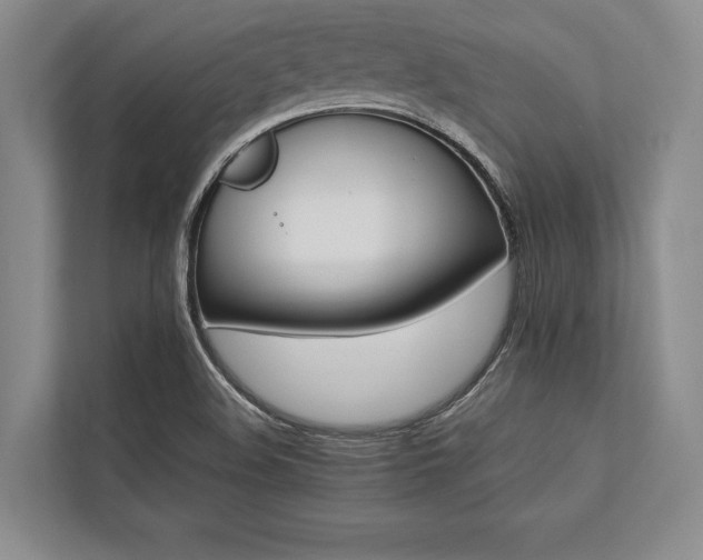 X0000113751508200909231120