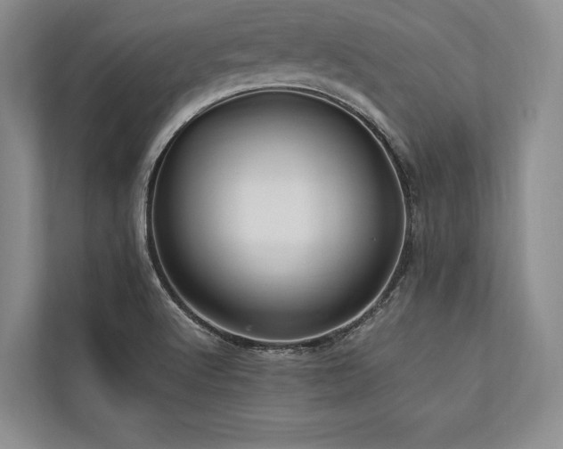 X0000113751512200909231120