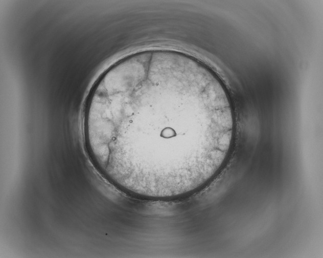 X0000113751514200909231120