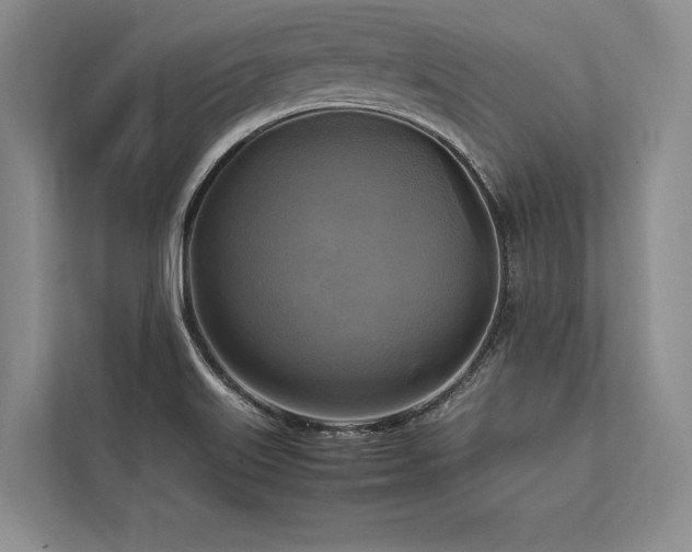 X0000113751515200909231121
