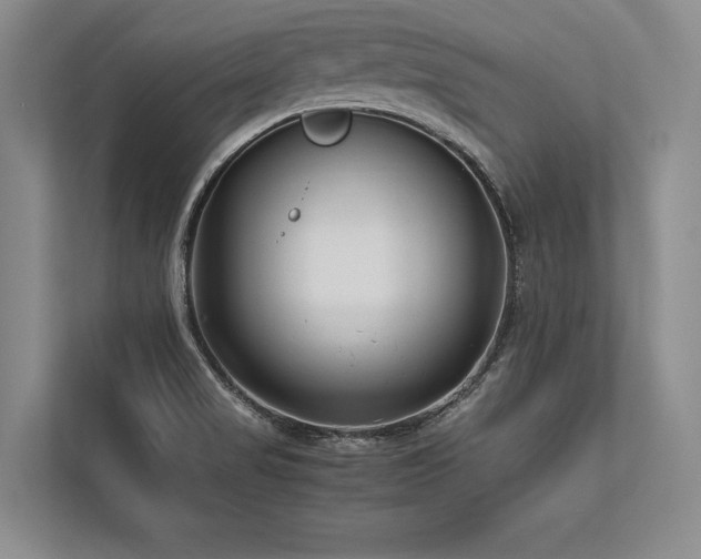 X0000113751517200909231121