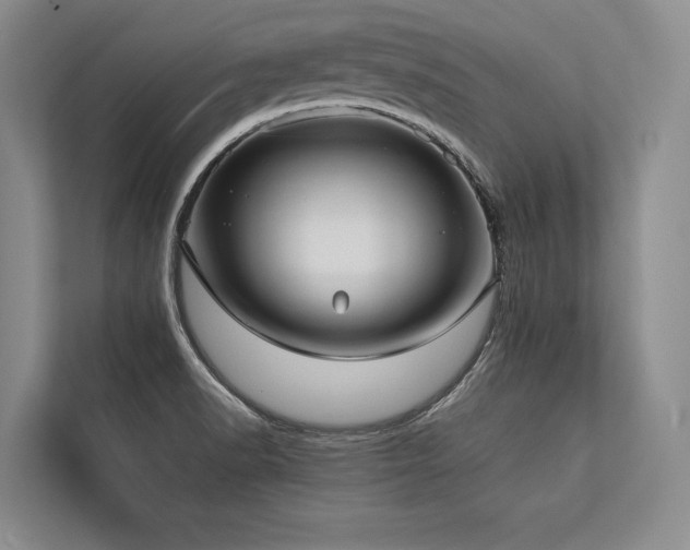 X0000113751518200909231121