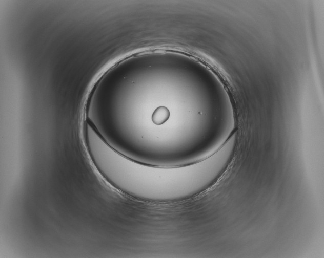 X0000113751520200909231121