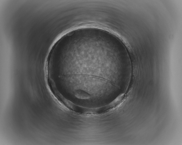 X0000113751522200909231121