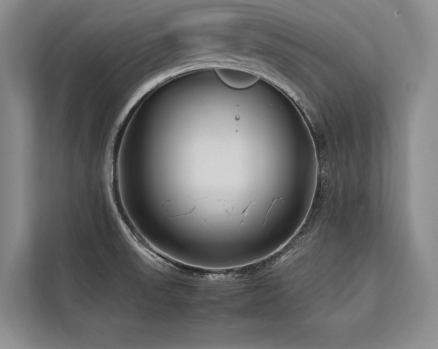 X0000113751523200909231121