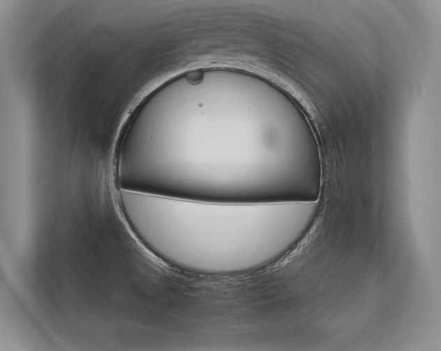 X0000113751525200909231121