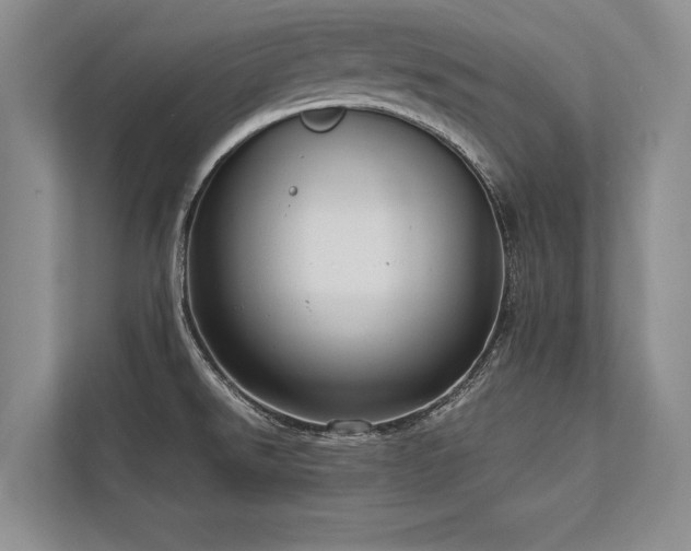 X0000113751526200909231121