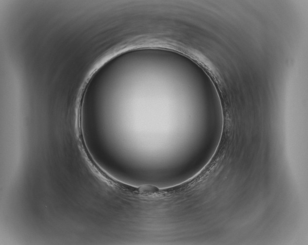 X0000113751528200909231121