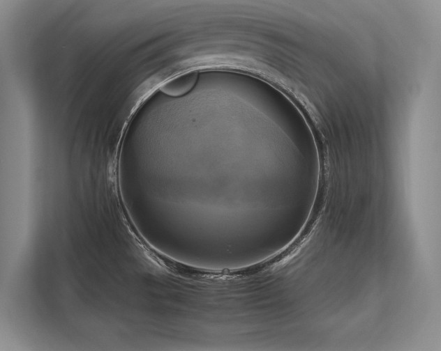 X0000113751529200909231121