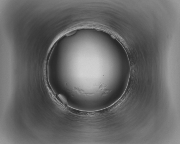 X0000113751530200909231121