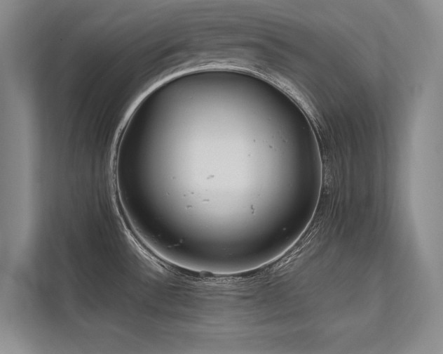 X0000113751532200909231121