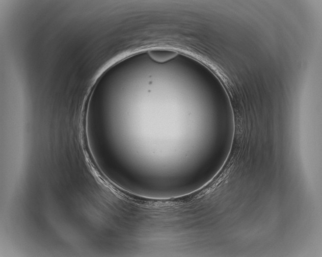 X0000113751534200909231121