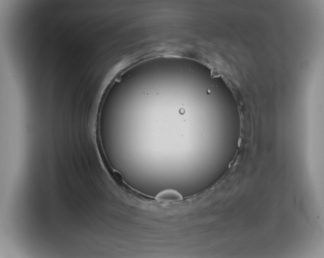 X0000113750003200909301041