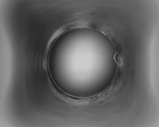 X0000113750004200909301041