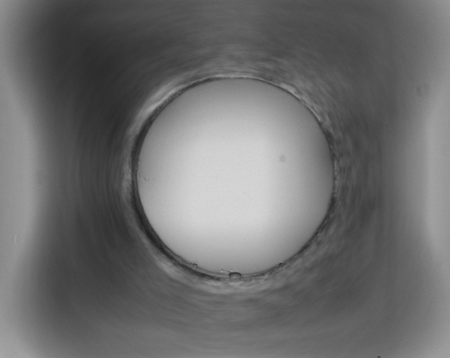 X0000113750005200909301041