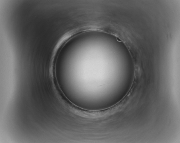 X0000113750006200909301041