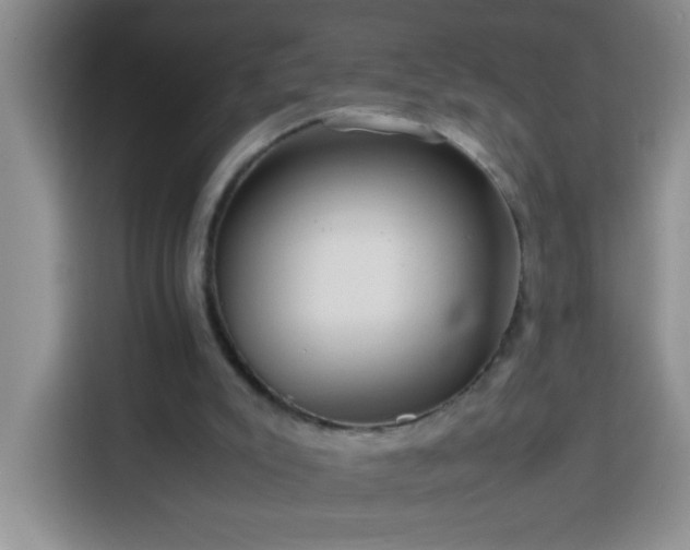 X0000113750007200909301041