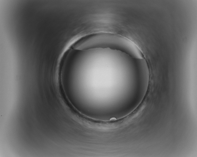 X0000113750008200909301041